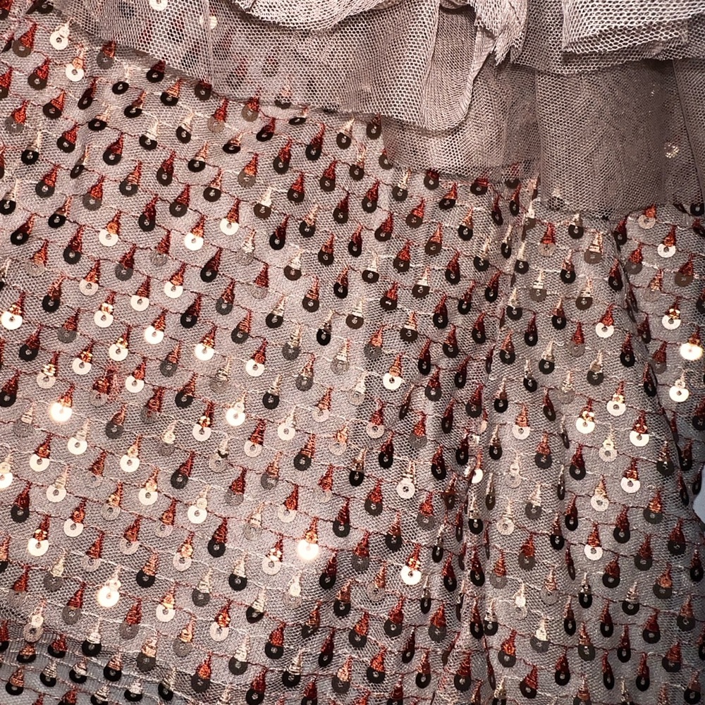 Formal Nude dramatic Ruffled sequence Blouse - Picture 11 of 13